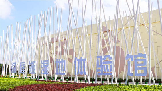 Ziyang District