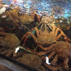 THE KINGDOM OF CRAB User Photo