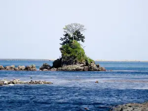 雨晴海岸