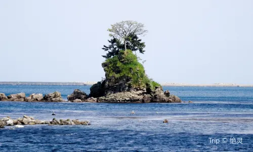 Amaharashi Coast (Noto Peninsula Quasi-National Park)