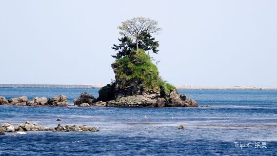 Amaharashi Coast (Noto Peninsula Quasi-National Park)