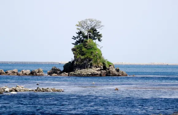日本富山雨晴海岸+富山市玻璃美術館+呉羽山公園一日遊