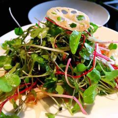 Hakkasan User Photo