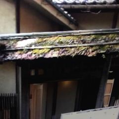 Inshoutei User Photo