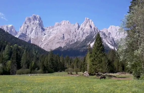 阿爾貝格坎特德加爾旅館