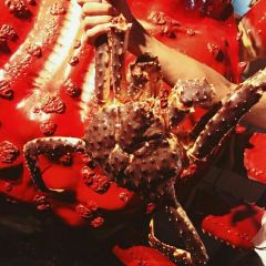 THE KINGDOM OF CRAB User Photo