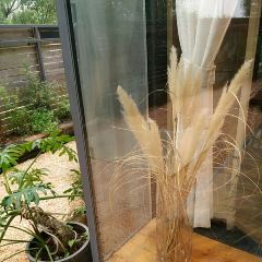 义远有机农场餐厅 User Photo