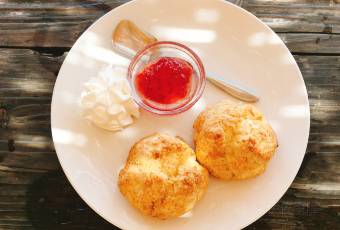Popular dishes