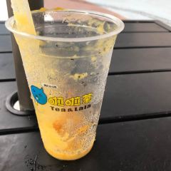 啦啦茶(步行街后门店) User Photo