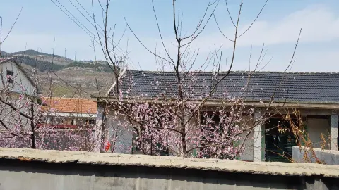 McDonald's (linyiyimenglu) in Linyi
