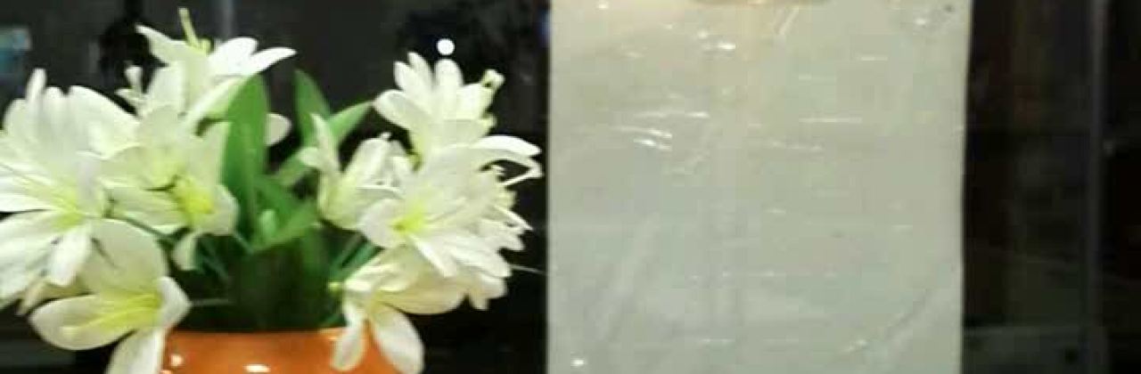 华莱士·全鸡汉堡(盛海店)