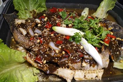 Bikulikaoquan Fish (dannisiliutiandi)