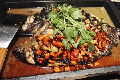 Tanlu Grilled Fish (maoming)