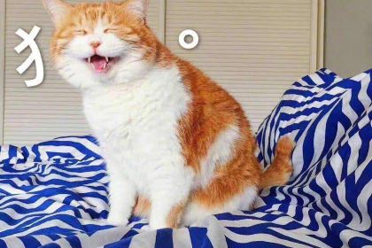 老上海饼屋(十字街店)