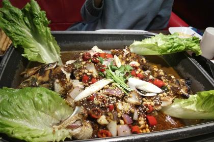 Bikulikaoquan Fish (dannisiliutiandi)