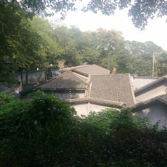 GAOPANGMEI XIAOMIAN User Photo