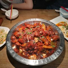 Panggeliarouxiebao (tianyicheng) User Photo