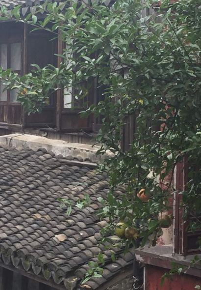 冰城饺子馆·东北菜(金色港湾店)