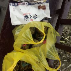 Zhenzhenlaolaozongzi (yuehe) 여행 사진