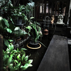 Sing Sing Theater User Photo