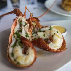 Sails Restaurant Auckland User Photo