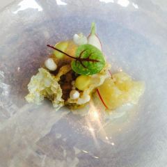 MOS Amsterdam User Photo