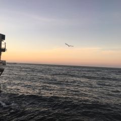 Fish Hopper User Photo