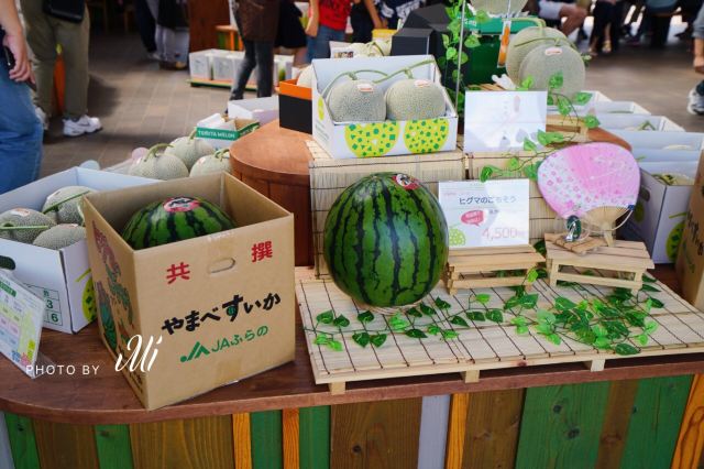 Tomita Melon House