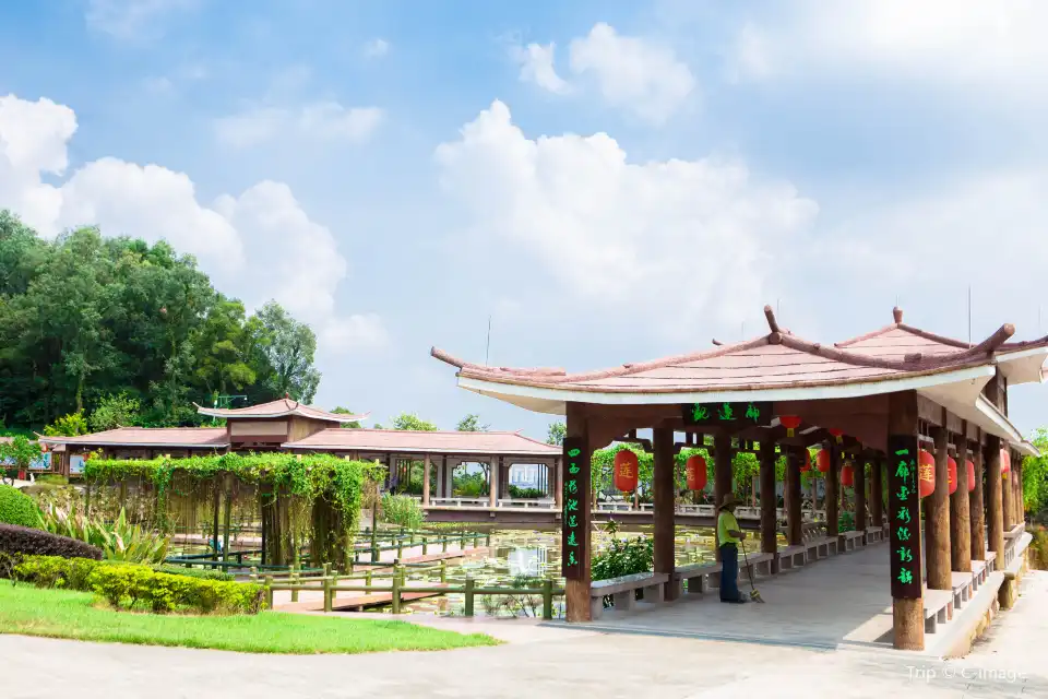 3_Lotus Hill Resort
