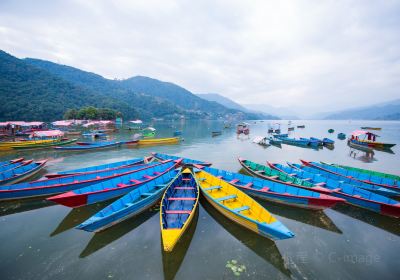 Fewa lake