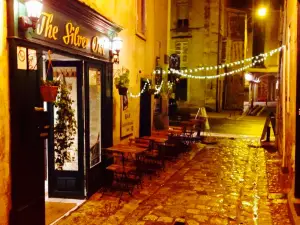 The Silver Owl