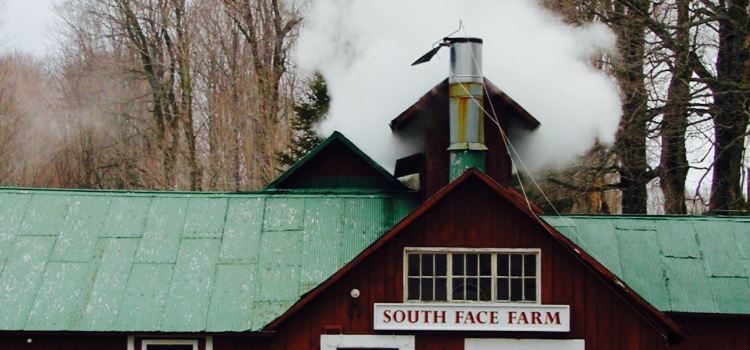 South Face Farm