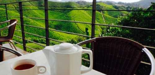 Cameron Valley Tea House 2