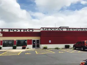 El Potro Mexican Restaurant