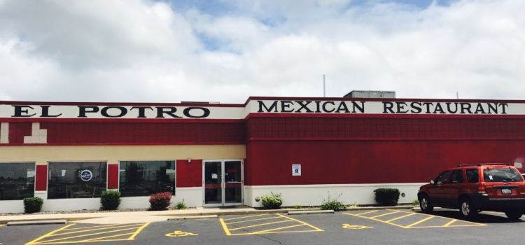 El Potro