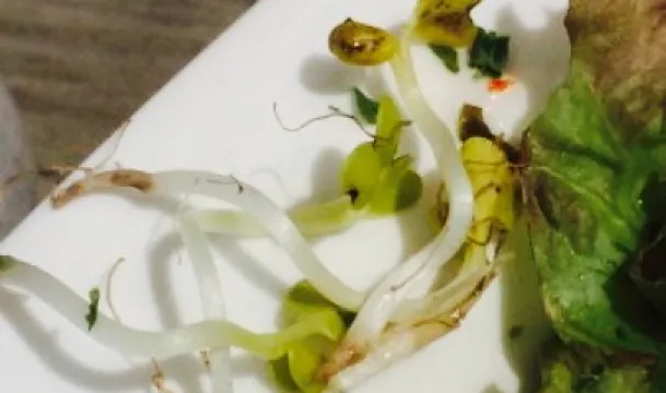 Grand Café Restaurant Nieuwvliet