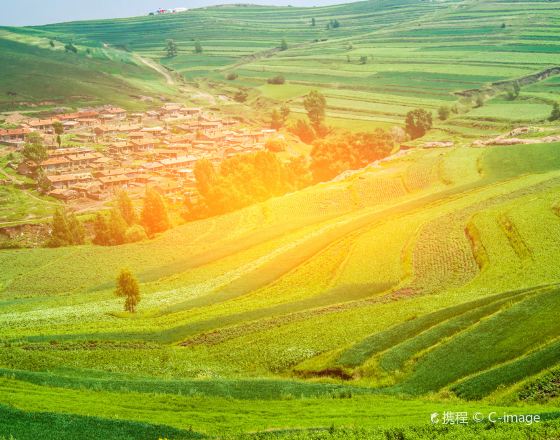 錫林浩特 自由行套票