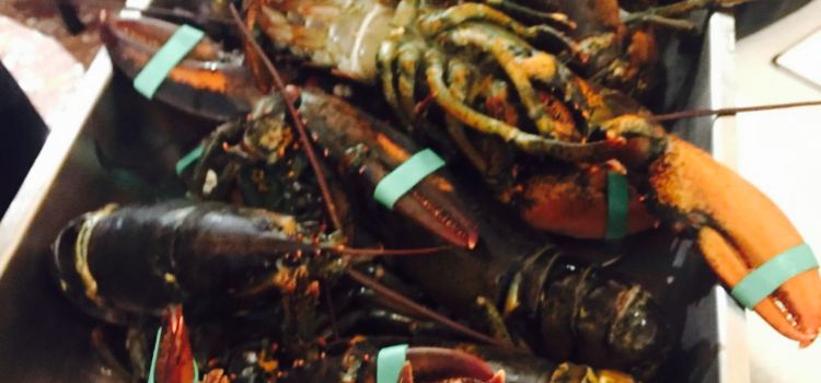 Trattoria Al Sole
