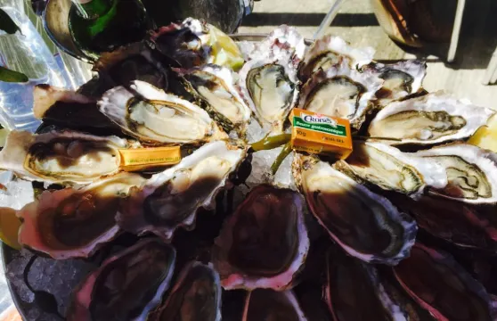 Chez Baleste Cabane 12