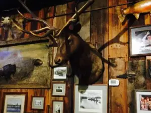 Lardo's Grill & Saloon