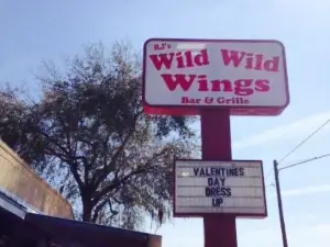 RJ's Wild Wild Wings