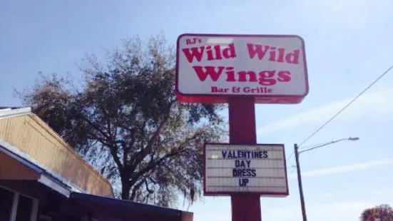 RJ's Wild Wild Wings