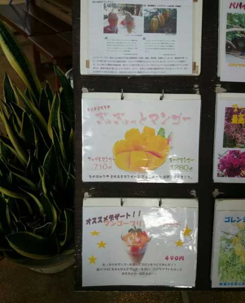 Utopia Farm Miyakojima