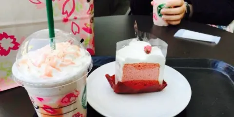 Starbucks Coffee Yokosuka More's City