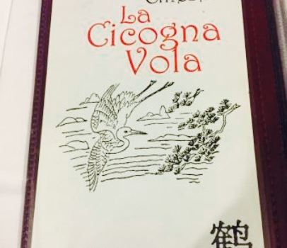 La Cicogna Vola