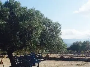 Agriturismo Iloghe