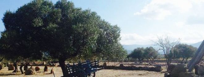 Agriturismo Iloghe