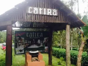 Catira