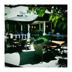 Vivo Palm Cove User Photo
