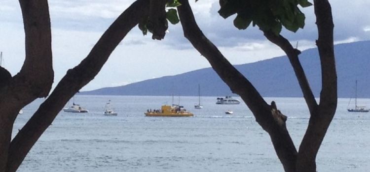 Lahaina Pizza Company